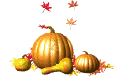 pumpkins and gourds animation