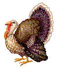 gobbler clip art