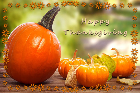 Happy Thanksgiving pumpkins