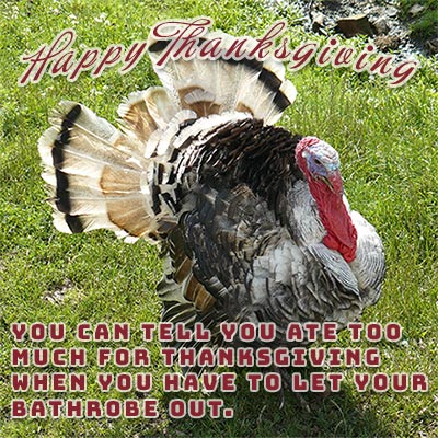 Happy Thanksgiving turkey