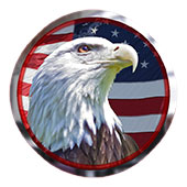 American eagle on American flag