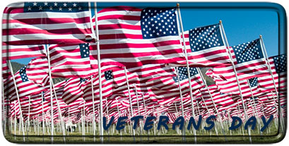 Veterans Day American Flags