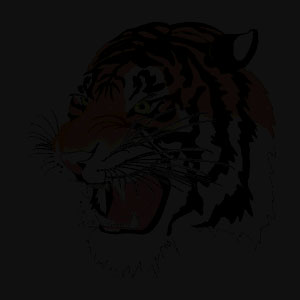 tiger background on black