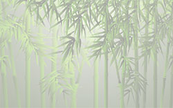 bamboo background