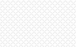 white texture background