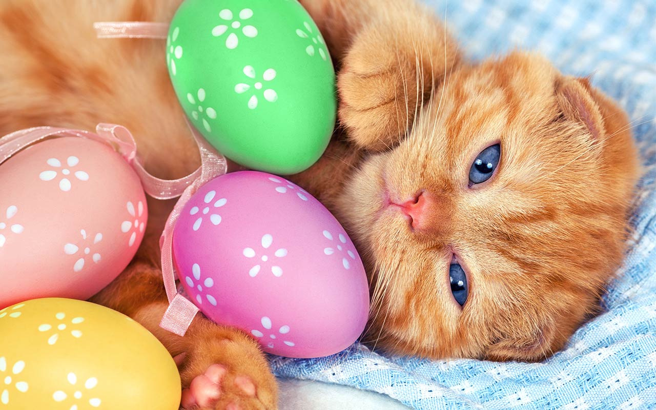 Free Easter Background Images - Wallpapers