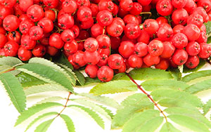 red fruit