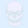 skull background image