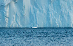 iceberg