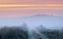 morning fog in nature