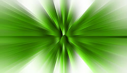 palm fan green background