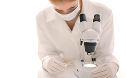 Scientist