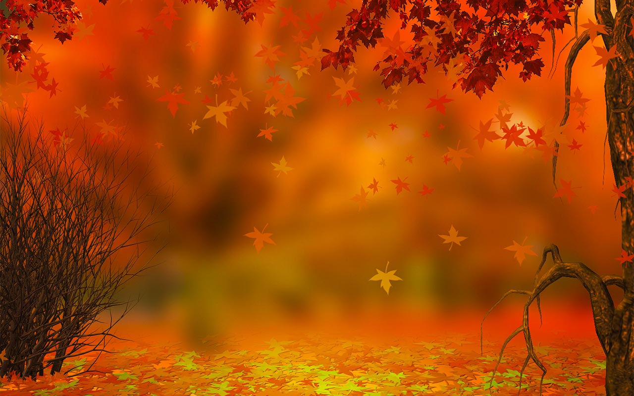 HD wallpaper autumn holiday thanksgiving turkey  Wallpaper Flare