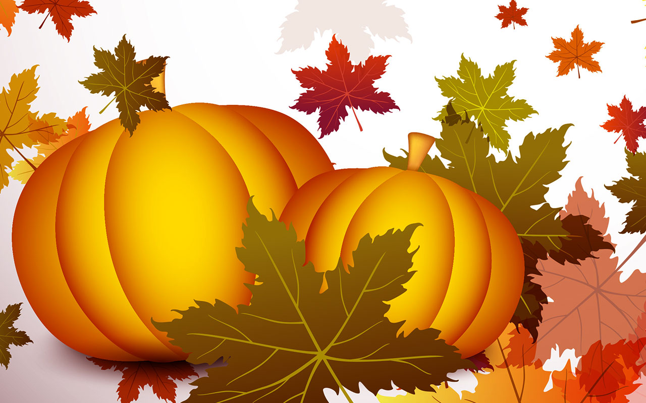 Dawn Adams on Thanksgiving Thanksgiving  Thanksgiving background Fall Autumn  Thanksgiving HD phone wallpaper  Pxfuel