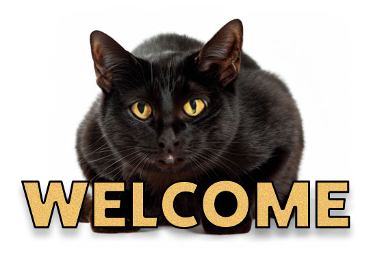 welcome cat