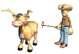 branding cattle