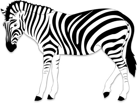 zebra side view